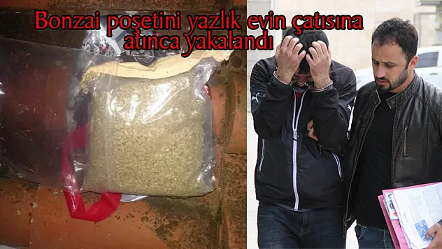 Bonzai poşetini yazlık evin çatısına atınca yakalandı