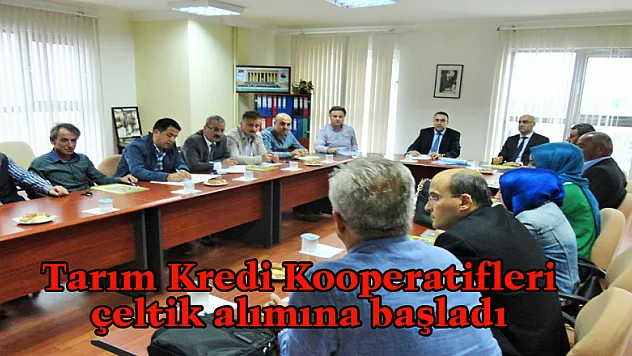 Tarım Kredi Kooperatifleri çeltik alımına başladı