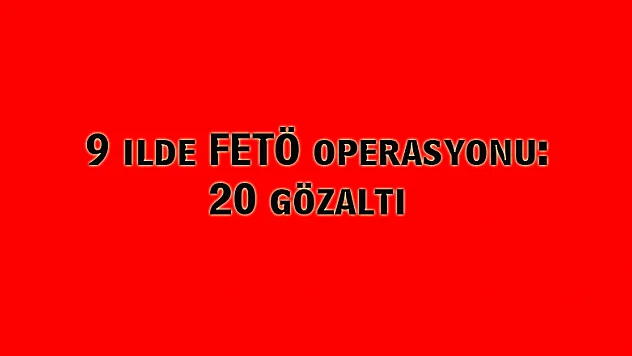  9 ilde FETÖ operasyonu: 20 gözaltı