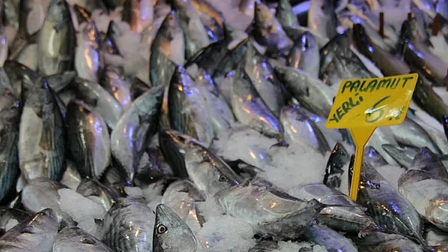 Kiloluk palamutlar 6-7 lira