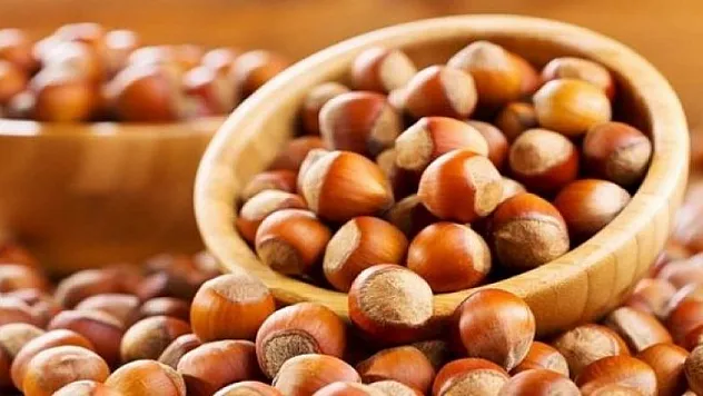 Fındık fiyatı 12 liranın altına düştü