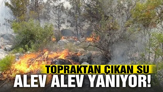 Terme de topraktan çıkan su alev alev yanıyor
