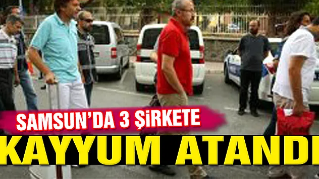 Tozlu AŞ, TMSF Bünyesine Geçti