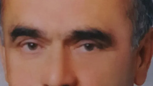 Ceviz ağacından düşen yaşlı adam hayatını kaybetti