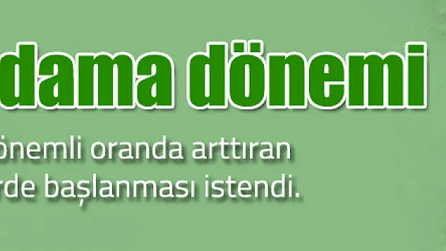 Fındıkta budama dönemi başladı