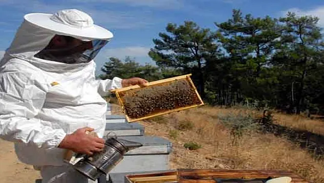 Samsun'da bal üretimi yüzde 40 düştü