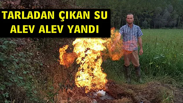 TARLADAN ÇIKAN SU ALEV ALEV YANIYOR