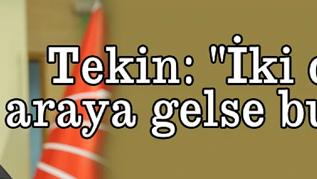 Tekin: 'İki cihan bir araya gelse bu ülkede...'