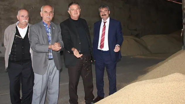  Bafra TMO çeltik alımlarına başladı