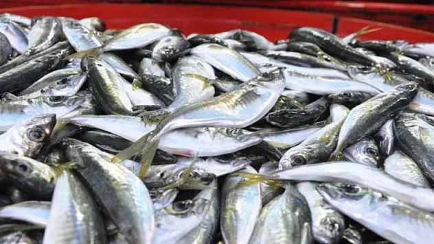 Hamsiyi kılçığı ile yerseniz...