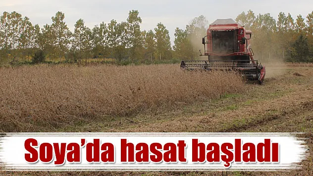 Soya'da hasat başladı