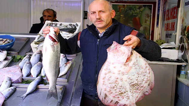 Balık var ama yiyen yok