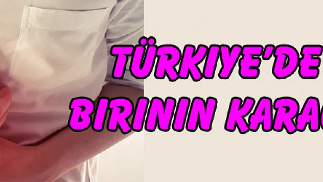 Türkiye'de 4 kişiden birinin karaciğeri yağlı