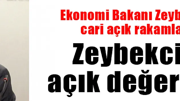 Zeybekci'den cari açık değerlendirmesi