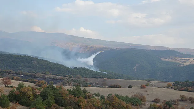 Tokat'taki orman yangınına uçakla müdahale ediliyor