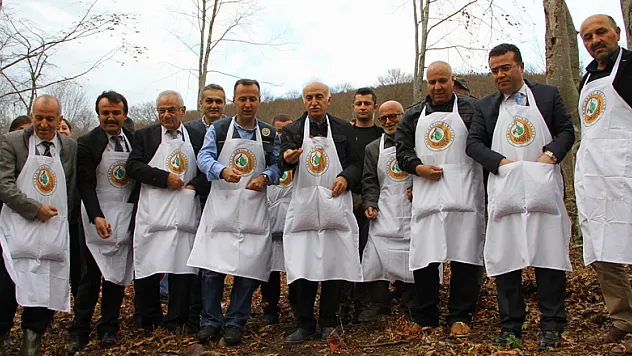 Ormanlar gençleştiriliyor