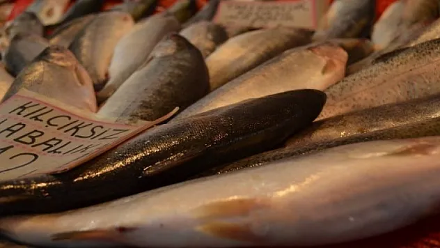 Balığın vücuda 10 faydası