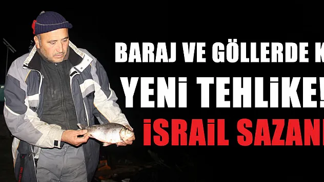 Baraj ve göller 'İsrail sazanı' tehdidi altında