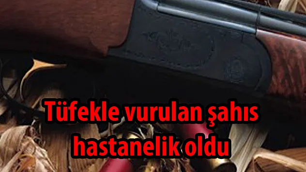 Tüfekle vurulan şahıs hastanelik oldu