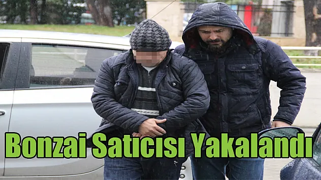 Bonzai satınca polis tarafından yakalandı