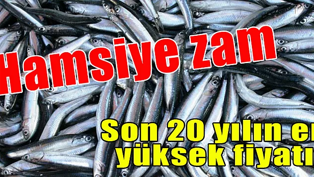Hamsiye zam! Son 20 yılın en yüksek fiyatına ulaştı