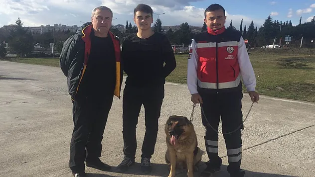 Hava ambulans servisinin kaybolan bekçi köpeği bulundu