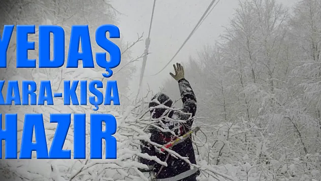 YEDAŞ olumsuz hava şartları ile mücadeleye hazır
