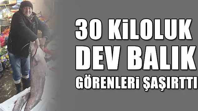 BU BALIK GÖRENLERİ ŞAŞIRTIYOR