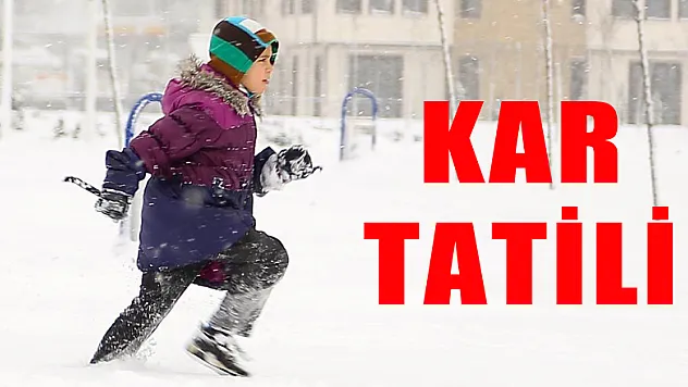 Samsun'da kar tatili