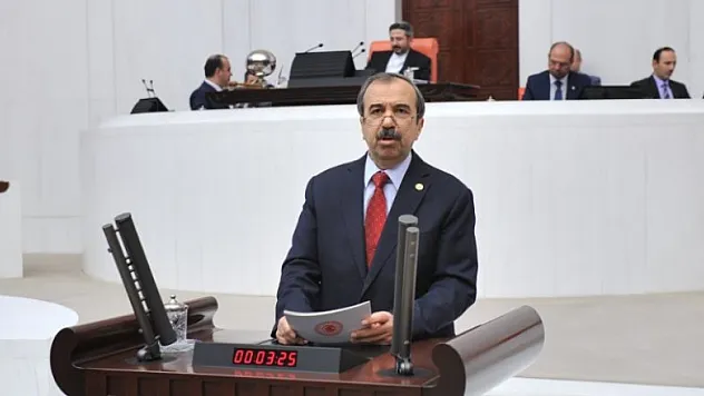 Tekin Meclis'te konuştu