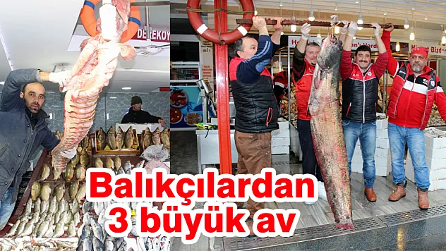 Balıkçılardan 3 büyük av