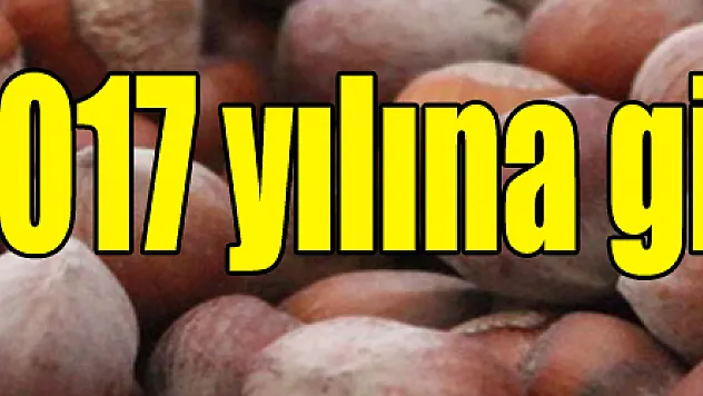 Fındık 2017 yılına giremedi