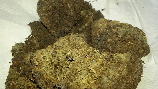 Çay paketinin içinden küf çıktı