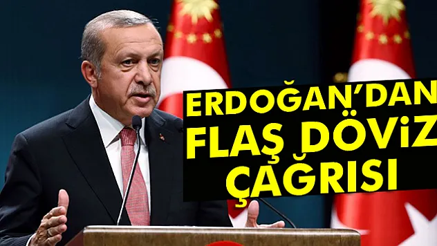 Cumhurbaşkanı Erdoğan'dan döviz çağrısı