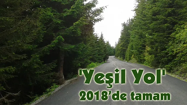 'Yeşil Yol' 2018'de tamam