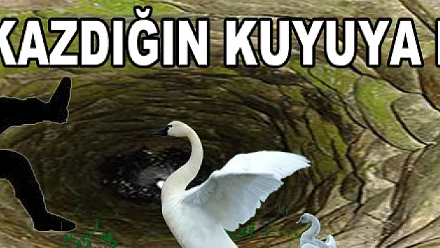 KAZDIĞIN KUYUYA DÜŞME!