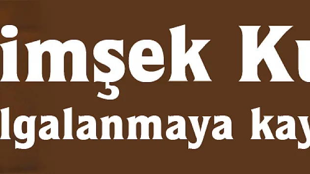 Şimşek: Kurdaki dalgalanmaya kayıtsız değiliz