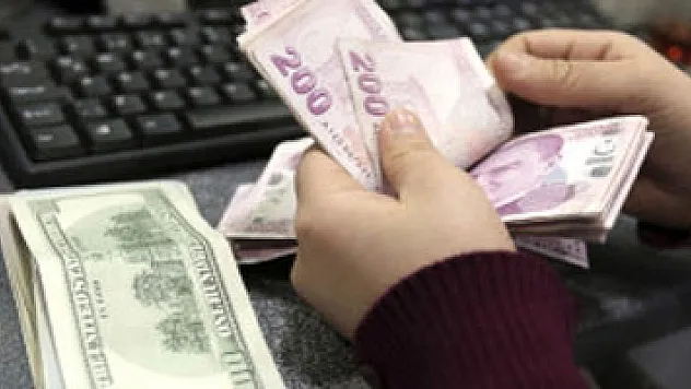 Kamu Kurumlarında Döviz Yerine TL
