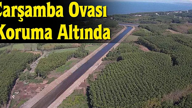 Çarşamba Ovası Koruma Altında