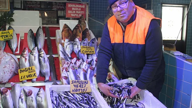  Samsun'da hamsi 20 TL