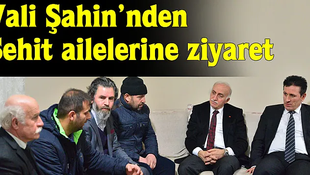 Vali Şahin'nden Şehit ailelerine ziyaret