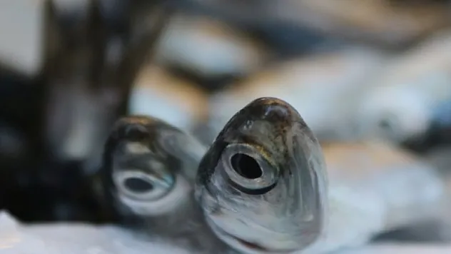 Kar yağdı, fiyatlar arttı