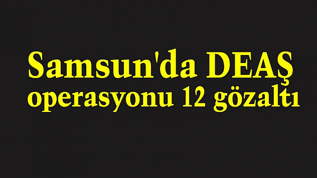 Samsun'da DEAŞ operasyonu: 12 gözaltı