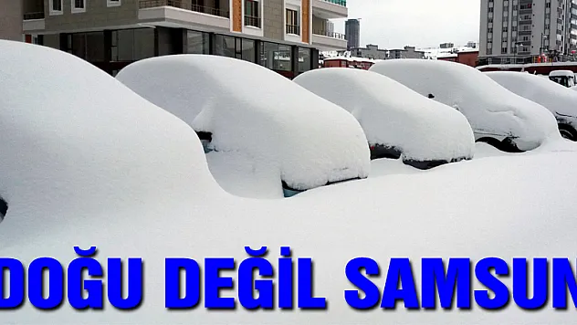 Doğu değil Samsun