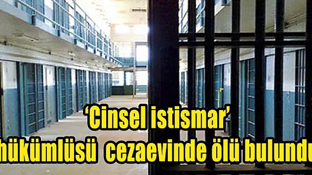 'Cinsel istismar' hükümlüsü cezaevinde ölü bulundu
