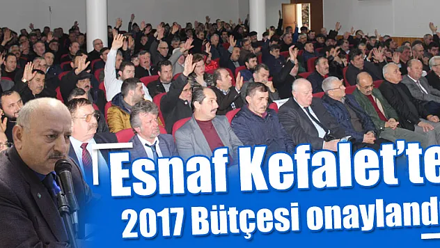 Esnaf Kefalet'te 2017 Bütçesi onaylandı