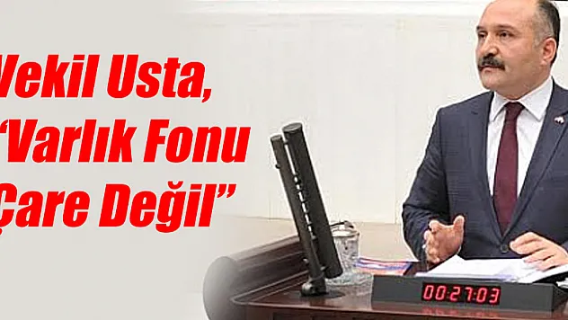 Usta, 'Varlık Fonu Çare Değil'