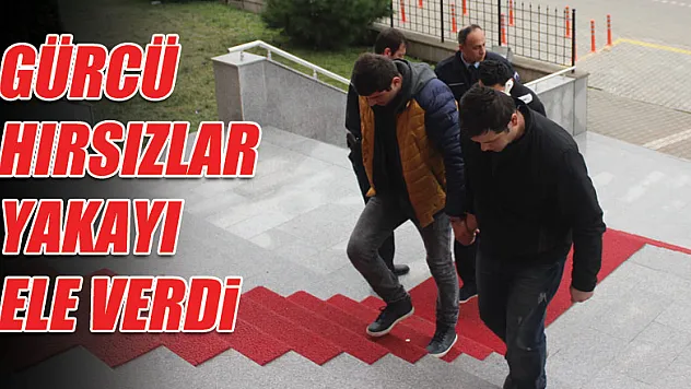 ALİ BEZCİ'DE HIRSIZLIK...