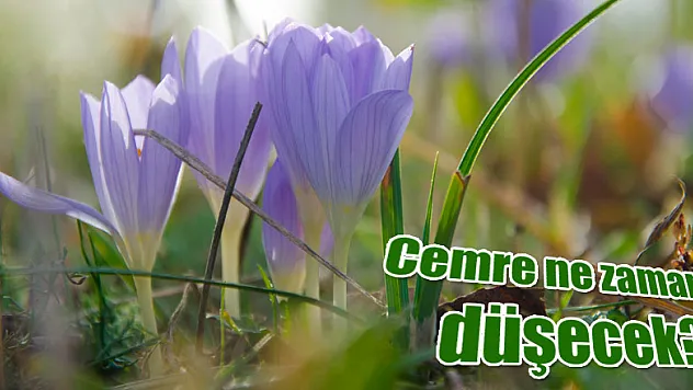 Cemre ne zaman düşecek?