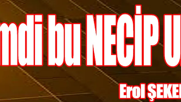 Kimdi bu NECİP UZUN ?